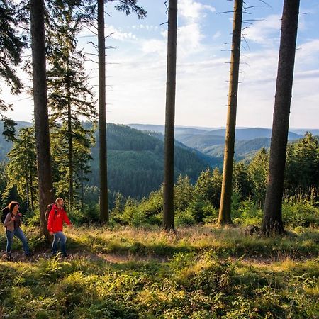 Ferienwohnung Im Zentrum Brilons Exteriér fotografie